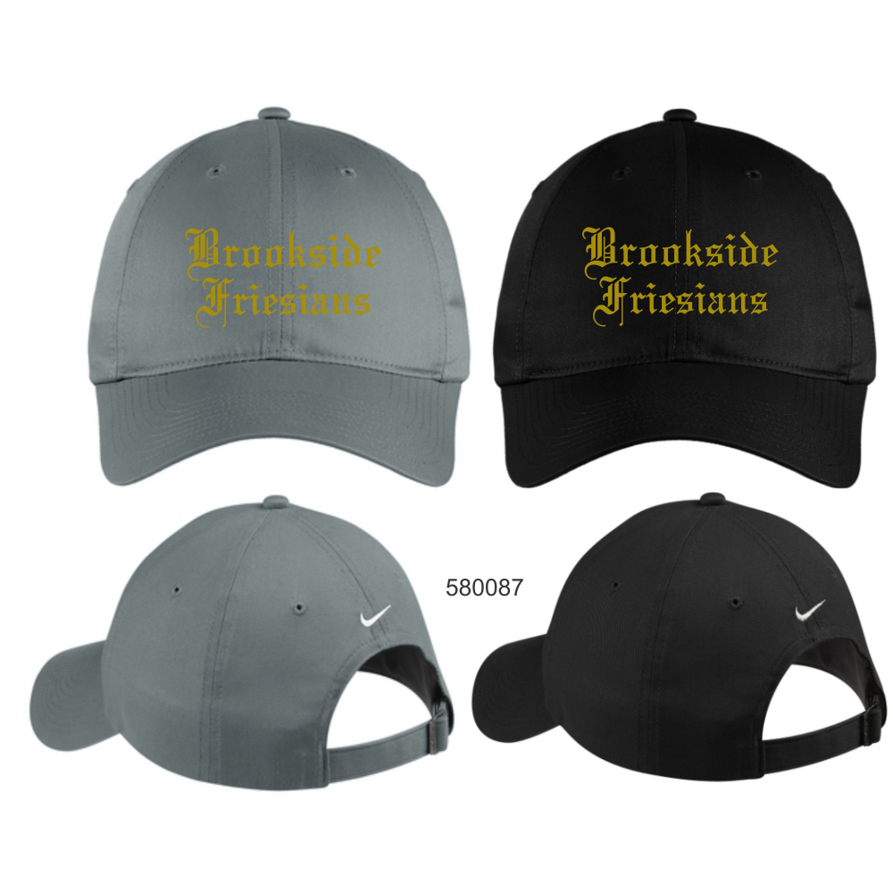 Brookside Friesians 580087