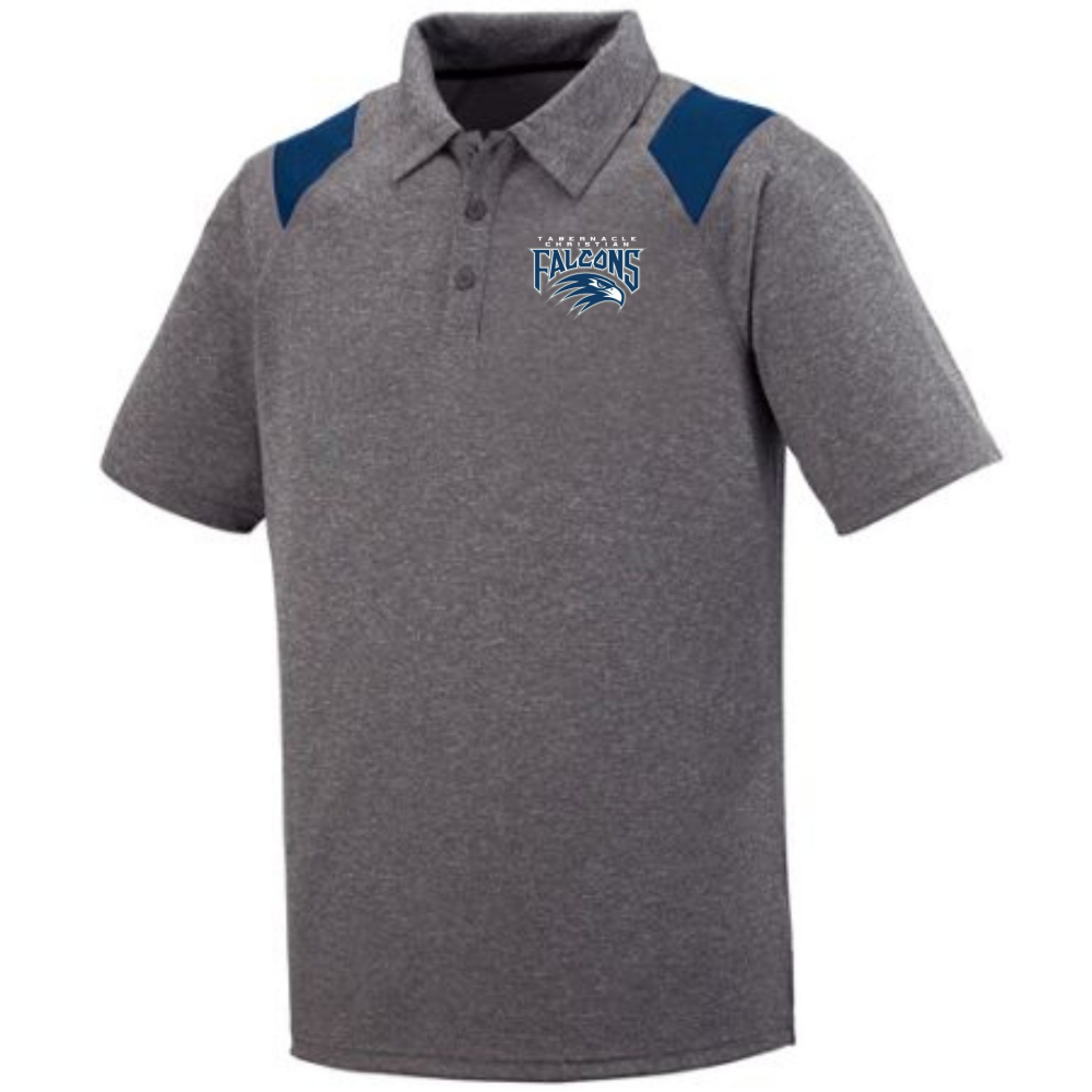 polo24
