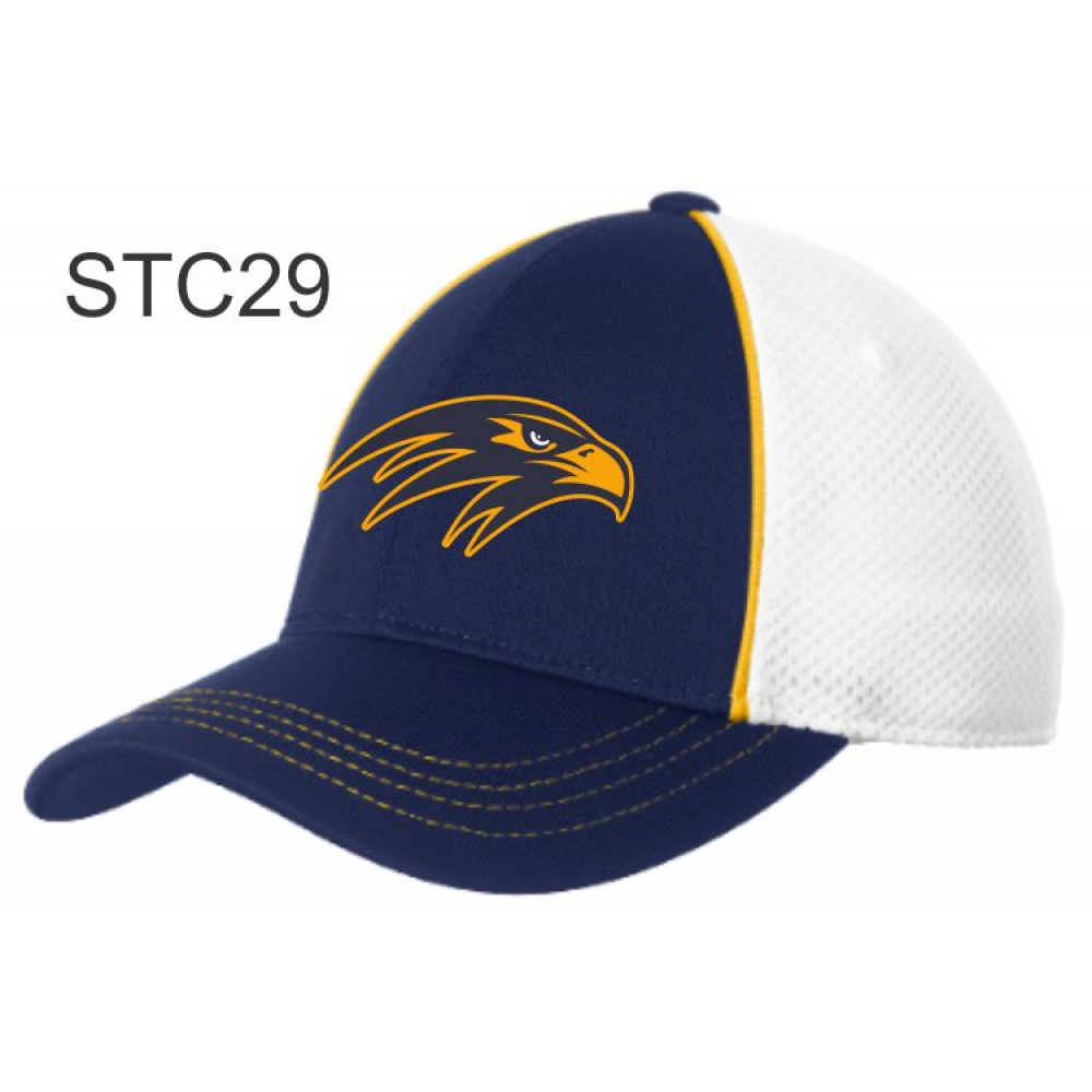 STC29