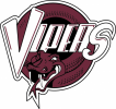 Capital City Vipers