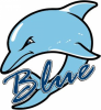 Blue Dolphin Swim Team